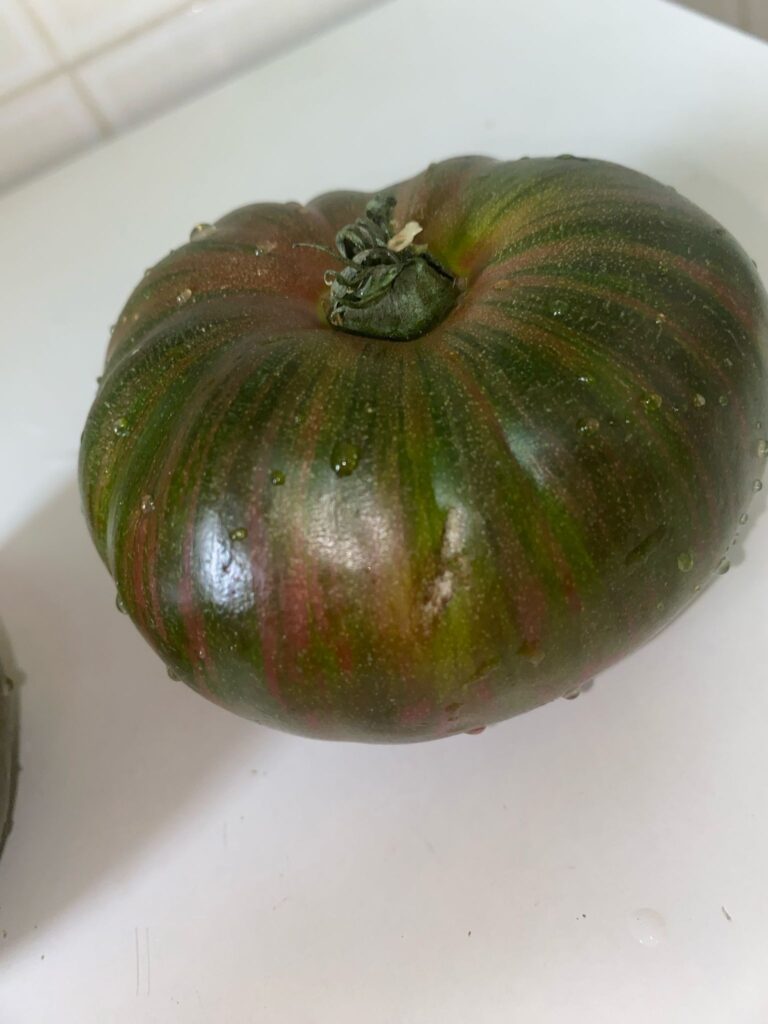Tomate Cherokee Heirloom