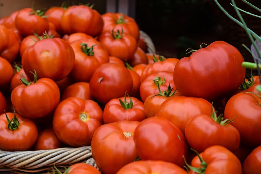 Tomate convencional tienda